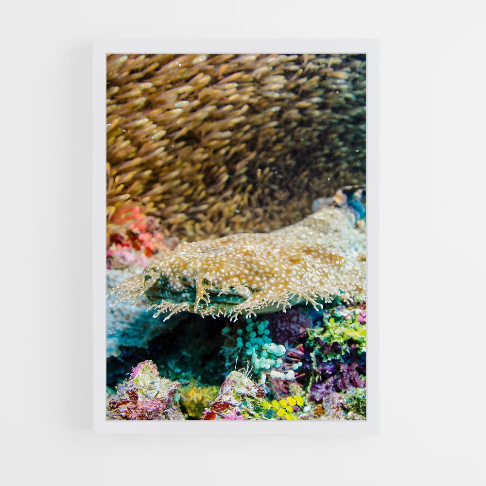 Poster Coral triangle – affiche Plongée sous-marine (vue 3)